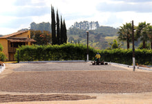 Load image into Gallery viewer, Raquel Ribeiro Aguiar - Fazenda Cerrado Grande - Blend - Natural
