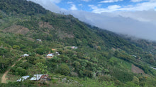 Load image into Gallery viewer, Juan Benitez - Finca La Vistada - Pacas - Washed
