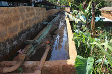 Load image into Gallery viewer, Kamacharia Farmers - Riakiberu - Ruiru 11, SL 28, Batian - Washed
